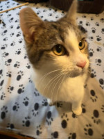 /album/89/whatsapp-image-2026-04-28-at-18-50-19-10-jpeg/